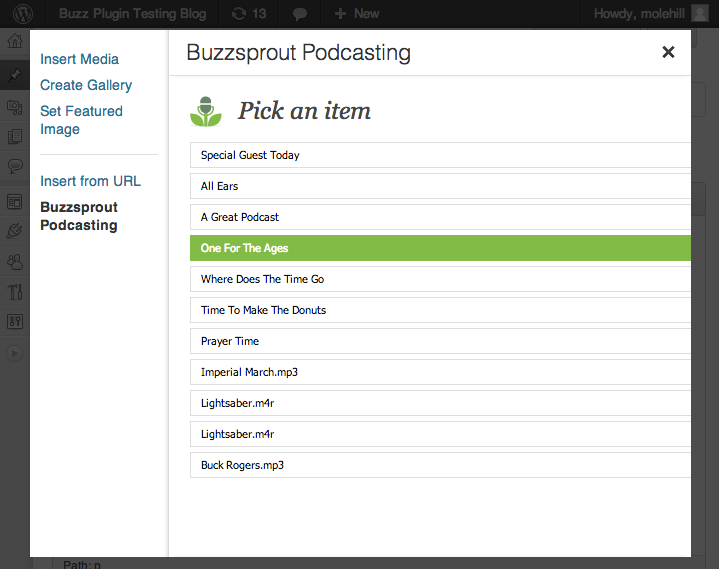 The Buzzsprout Podcasting plugin drops a new option into your "Add Media" window. Click the add media icon and then select the "Buzzsprout Podcasting" tab to select the episode you would like to include within your post.
