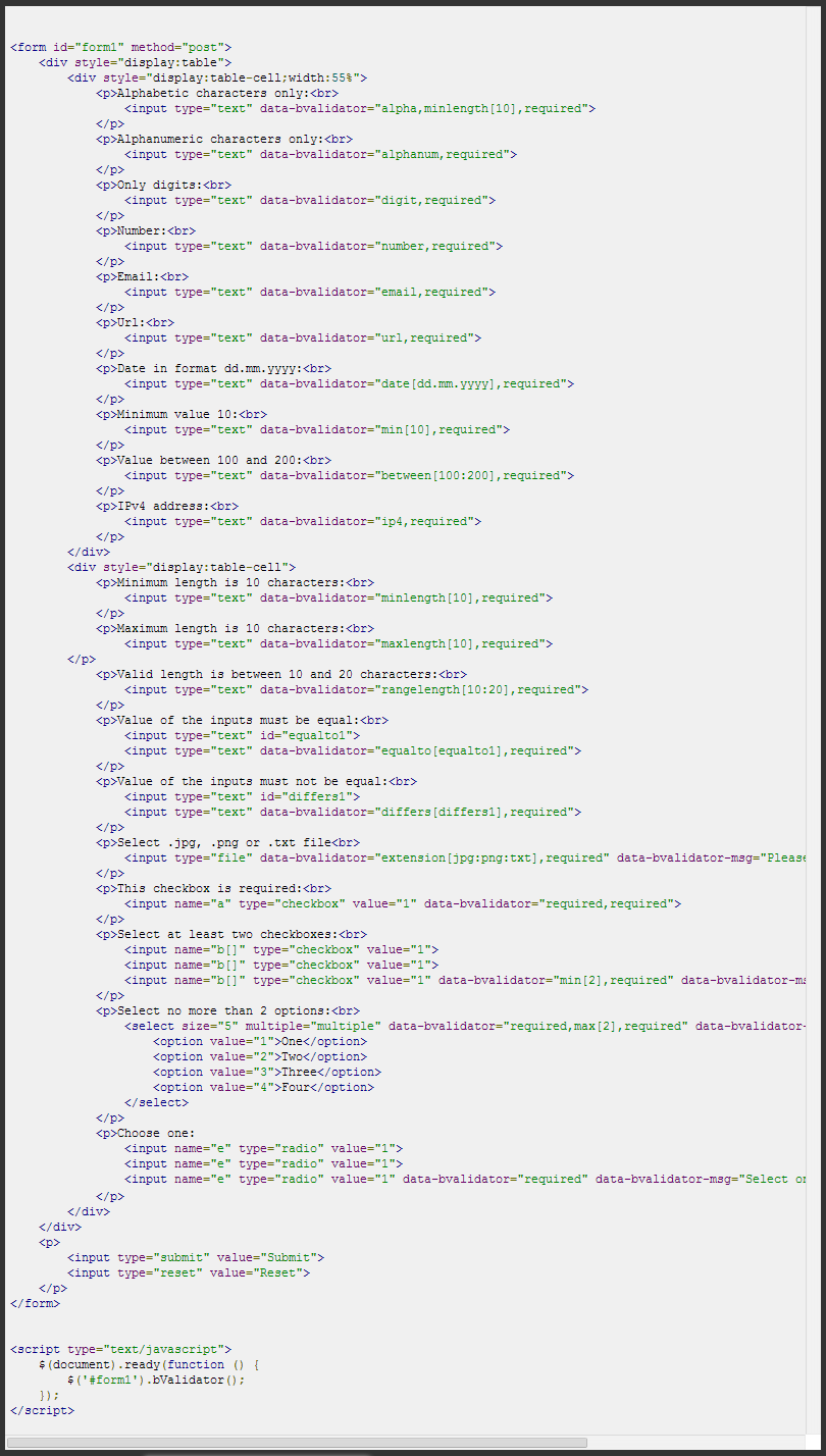 HTML form to show how attribute `'data-bvalidator'` need to use with your form.