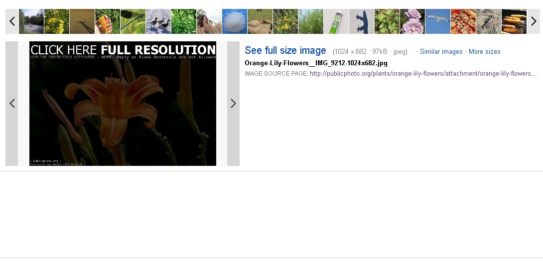 Screenshot with plugin in action : bing search engine
