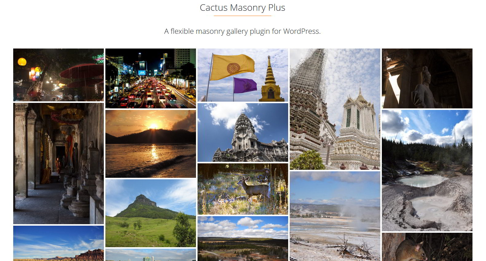 The front page gallery [visible at](http://cactus.cloud/masonryplus)