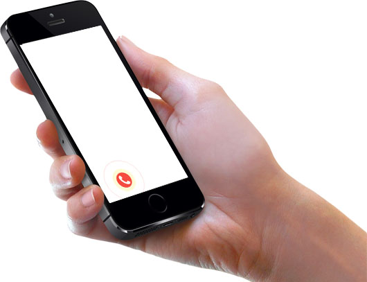 What the Call Now Icon Animate will look like