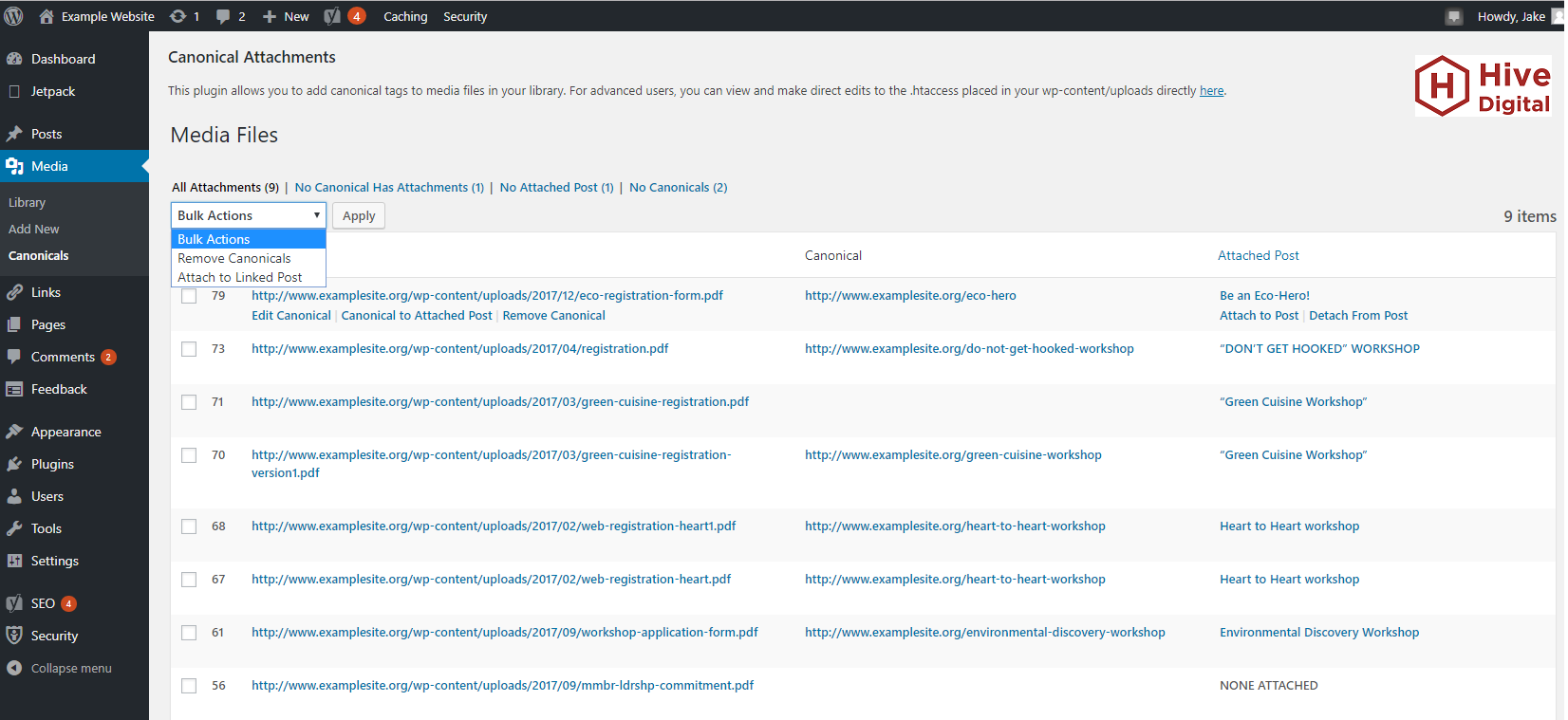 Plugin dashboard with options for bulk editing or individual editing to create canonicals for attachment files, and easy filters to drill down to those files needing fixed!