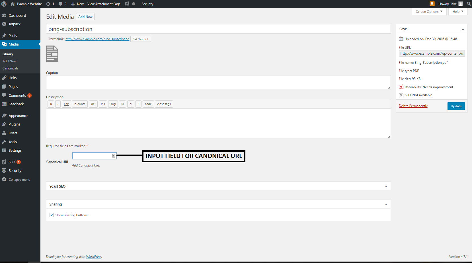 Media pages have an input field for the canonical URL