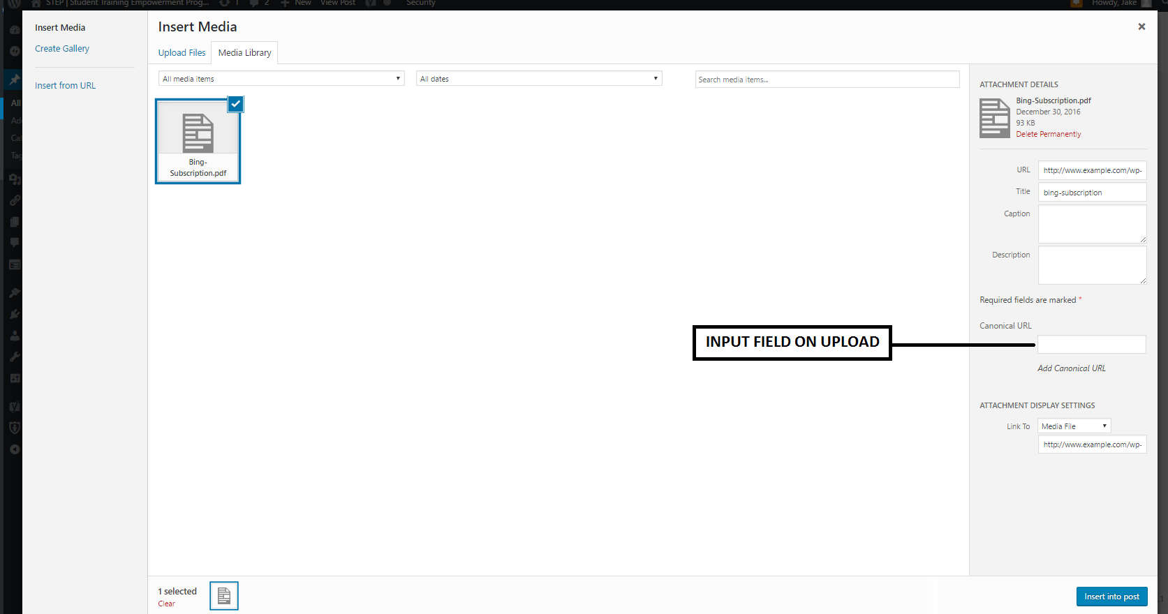 Option to enter canonical url when you upload a file