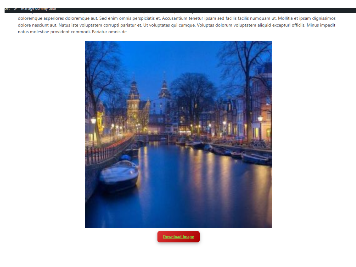 Frontend image view – automatic image download button displayed below images