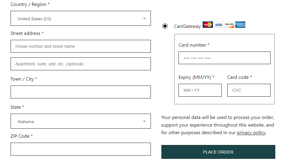 Credit Card fields on Checkout page