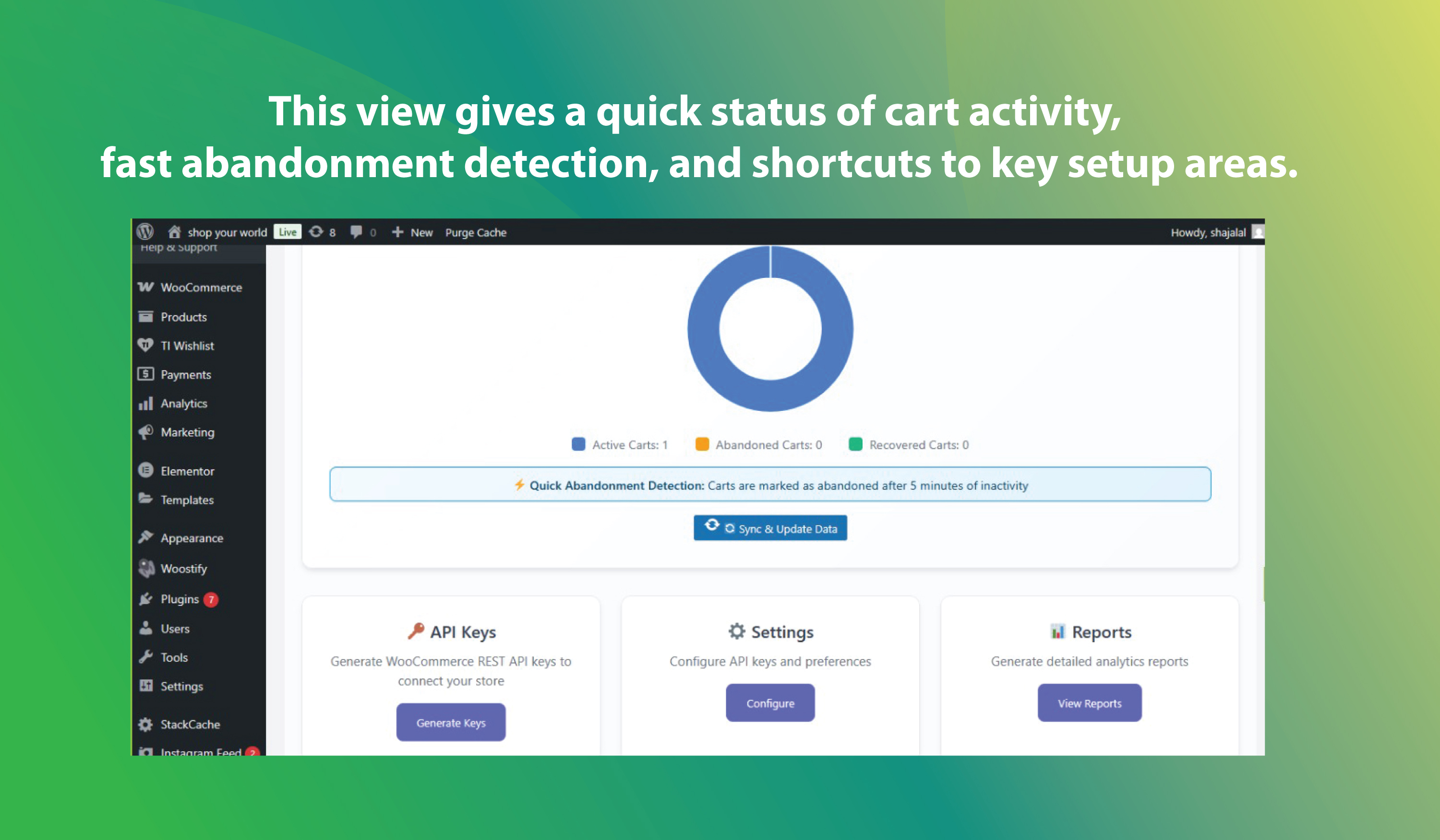 API Keys management table with copy/regenerate controls