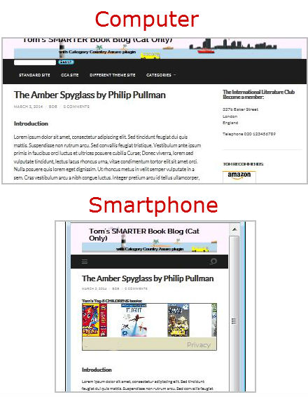 Ad in Post for category Junior fiction (smart responsive option set so ad only displays on small devices)
