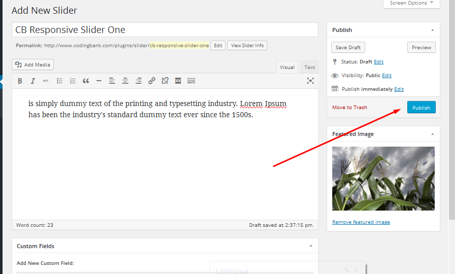Publish Slider.