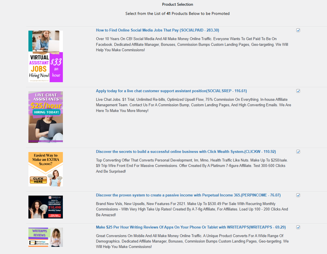 **Product Selection**: Choose ClickBank products to promote from Category niche.
