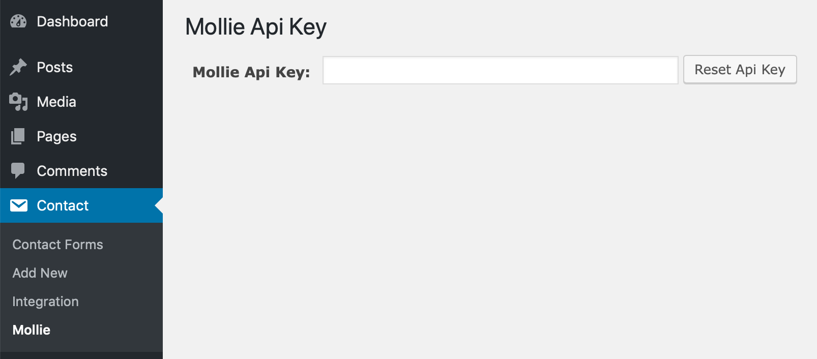 The main api key field