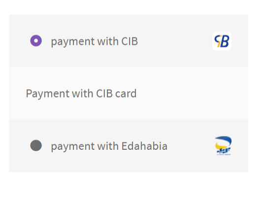 This is the display of payment methods in the checkout page.