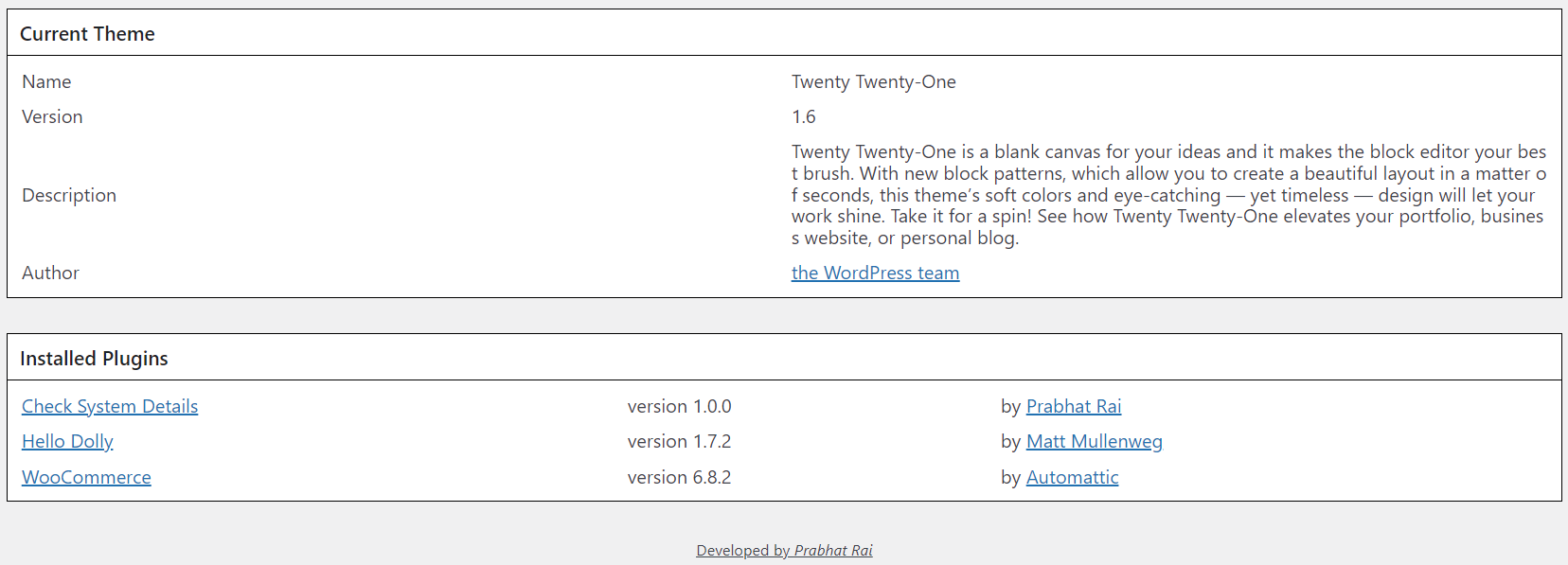 Details on the active theme and installed plugins.