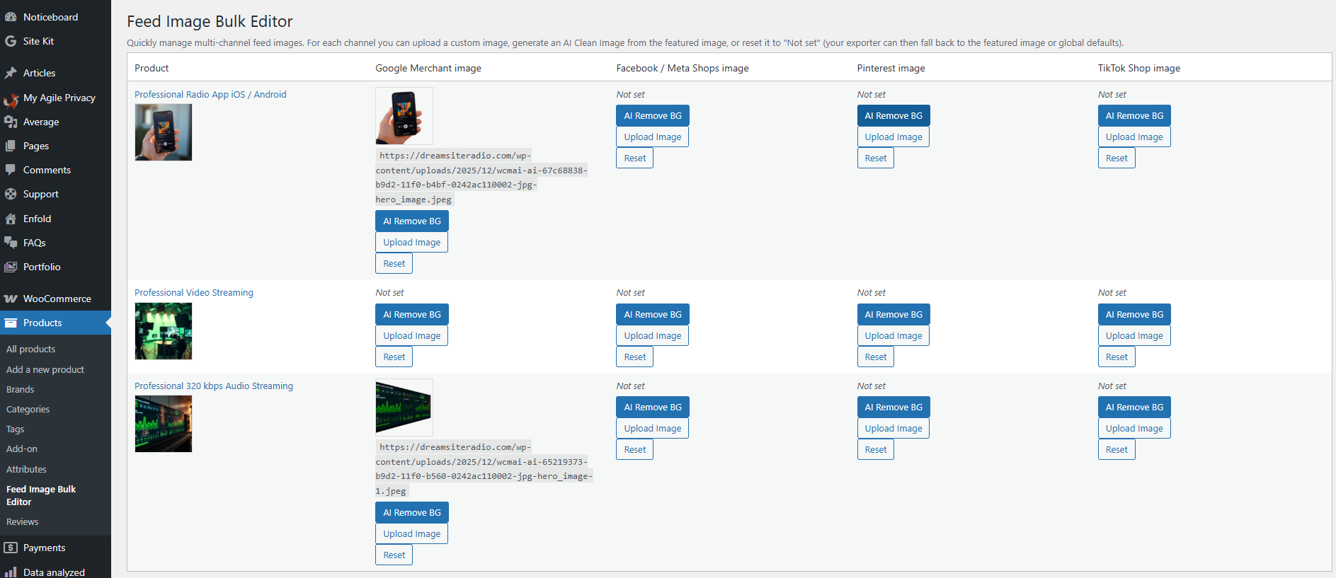 Feed Image Bulk Editor (PRO)