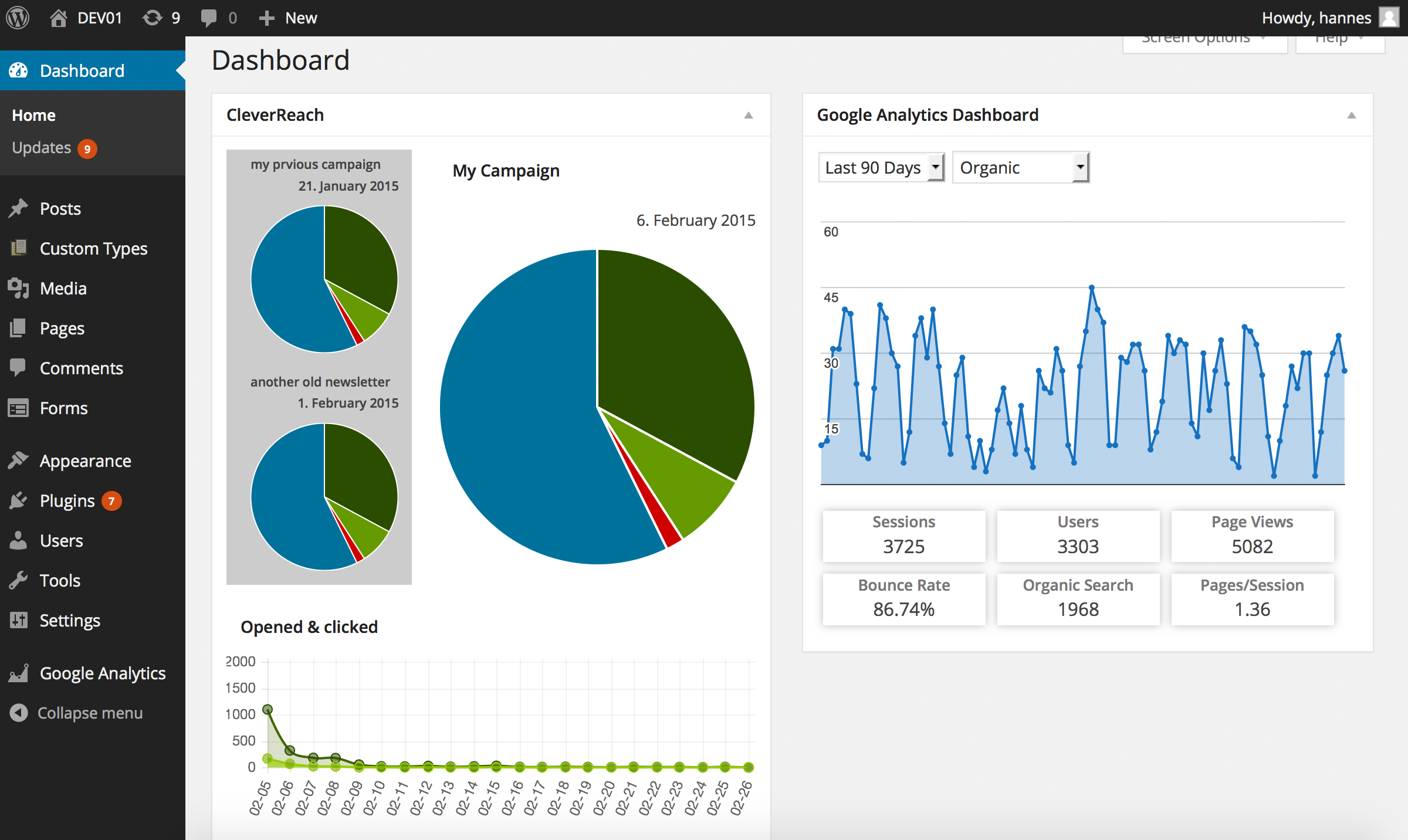 CleverReach Widget with Google Analytics Widget
