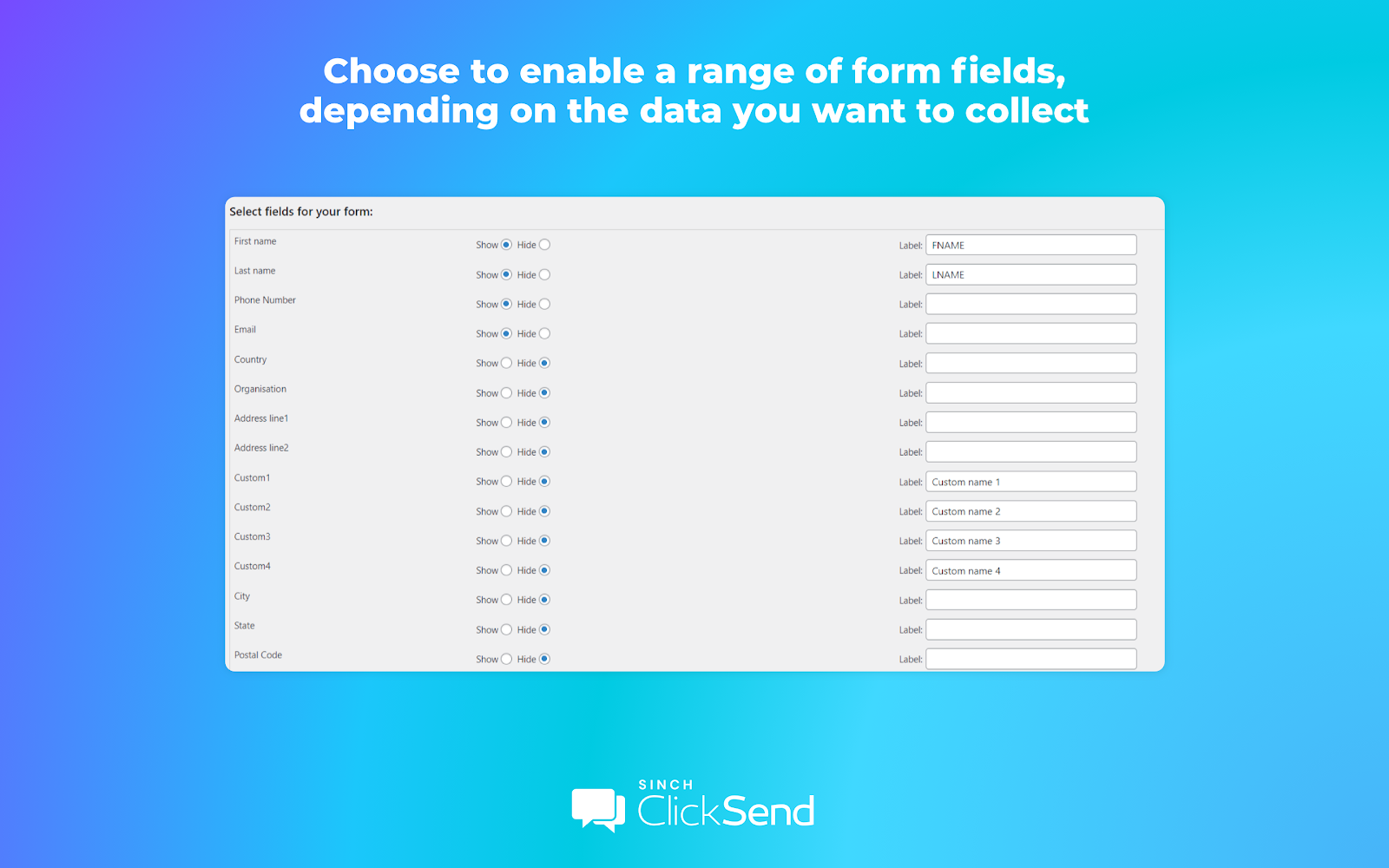 Form Fields