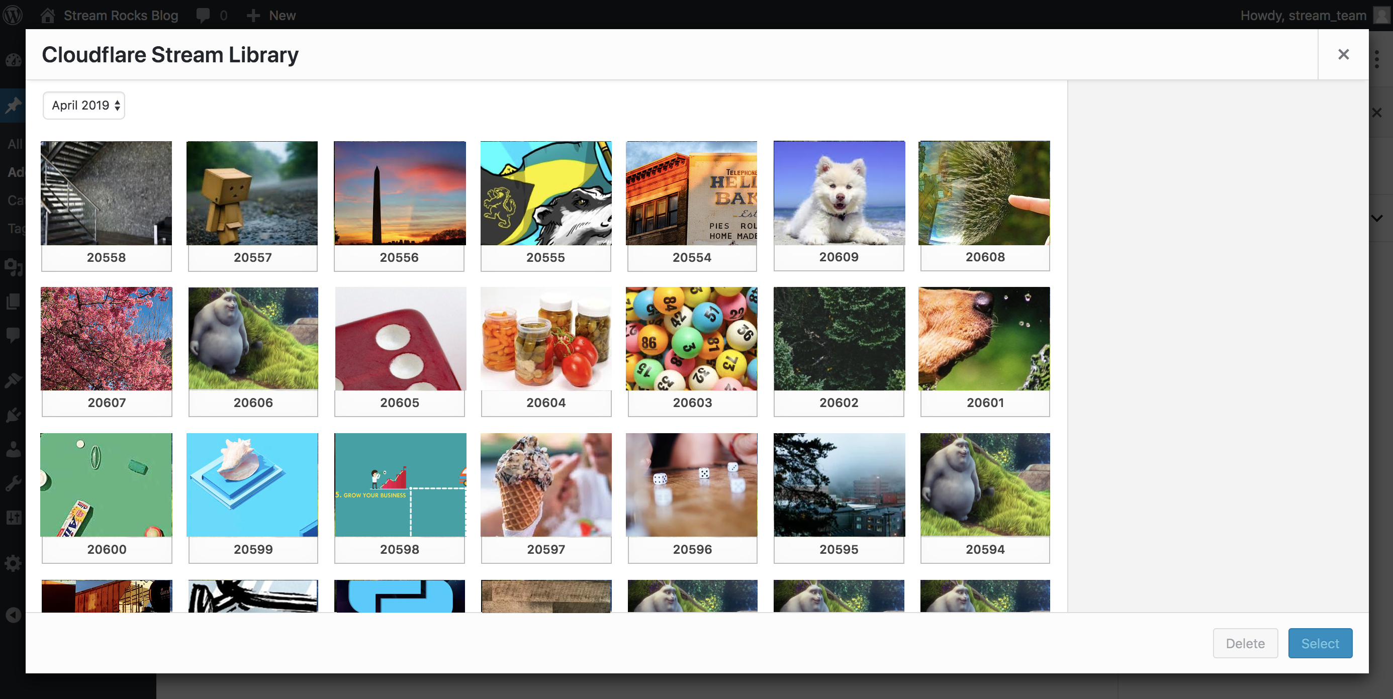 Browsing the Cloudflare Stream Library