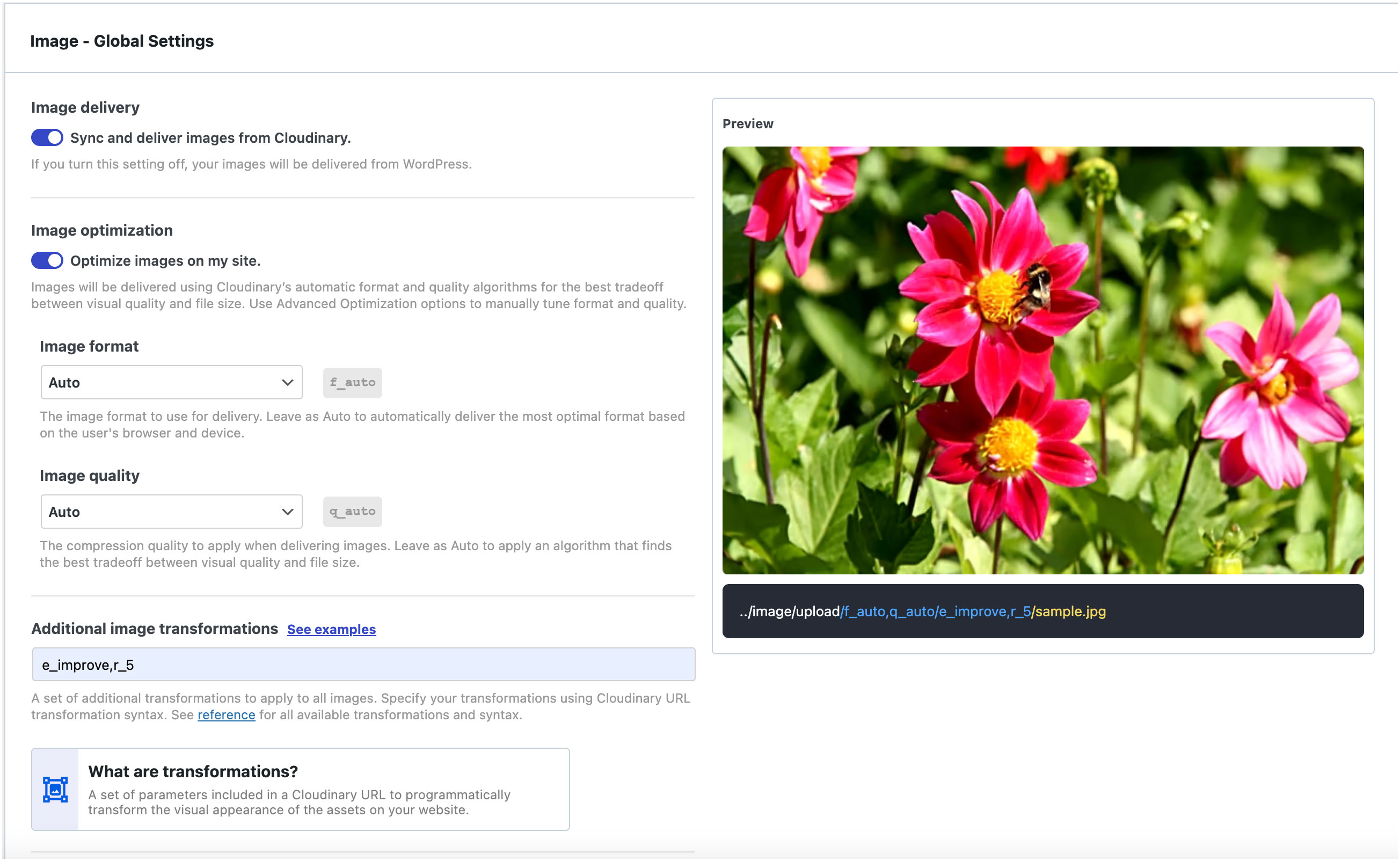 Cloudinary video player settings