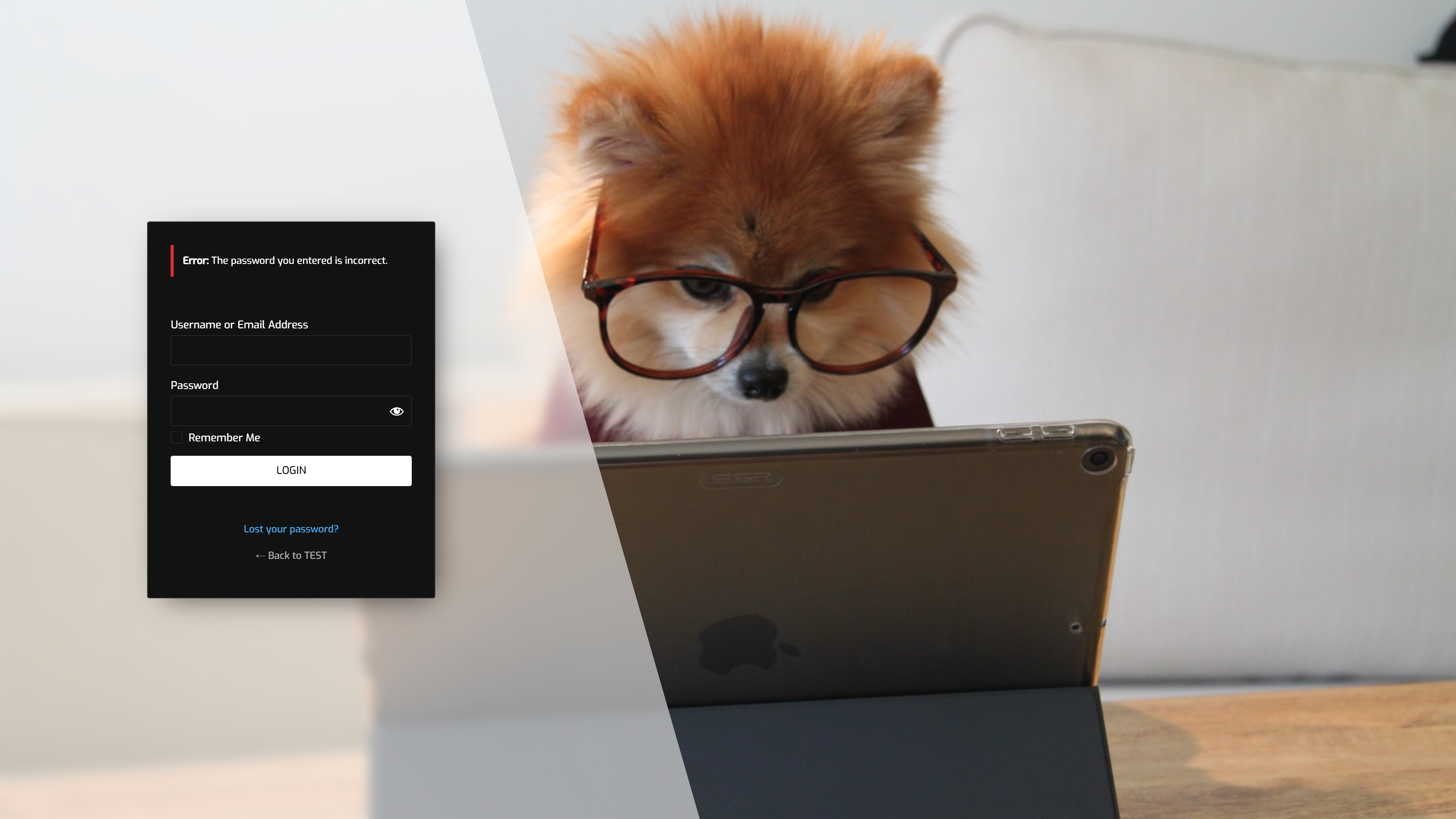 Customized login page