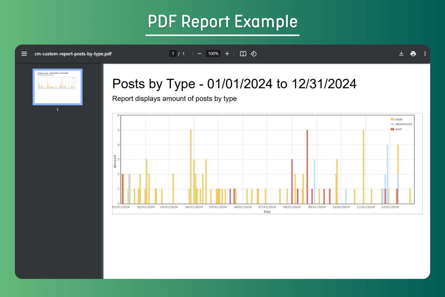 PDF Report Example