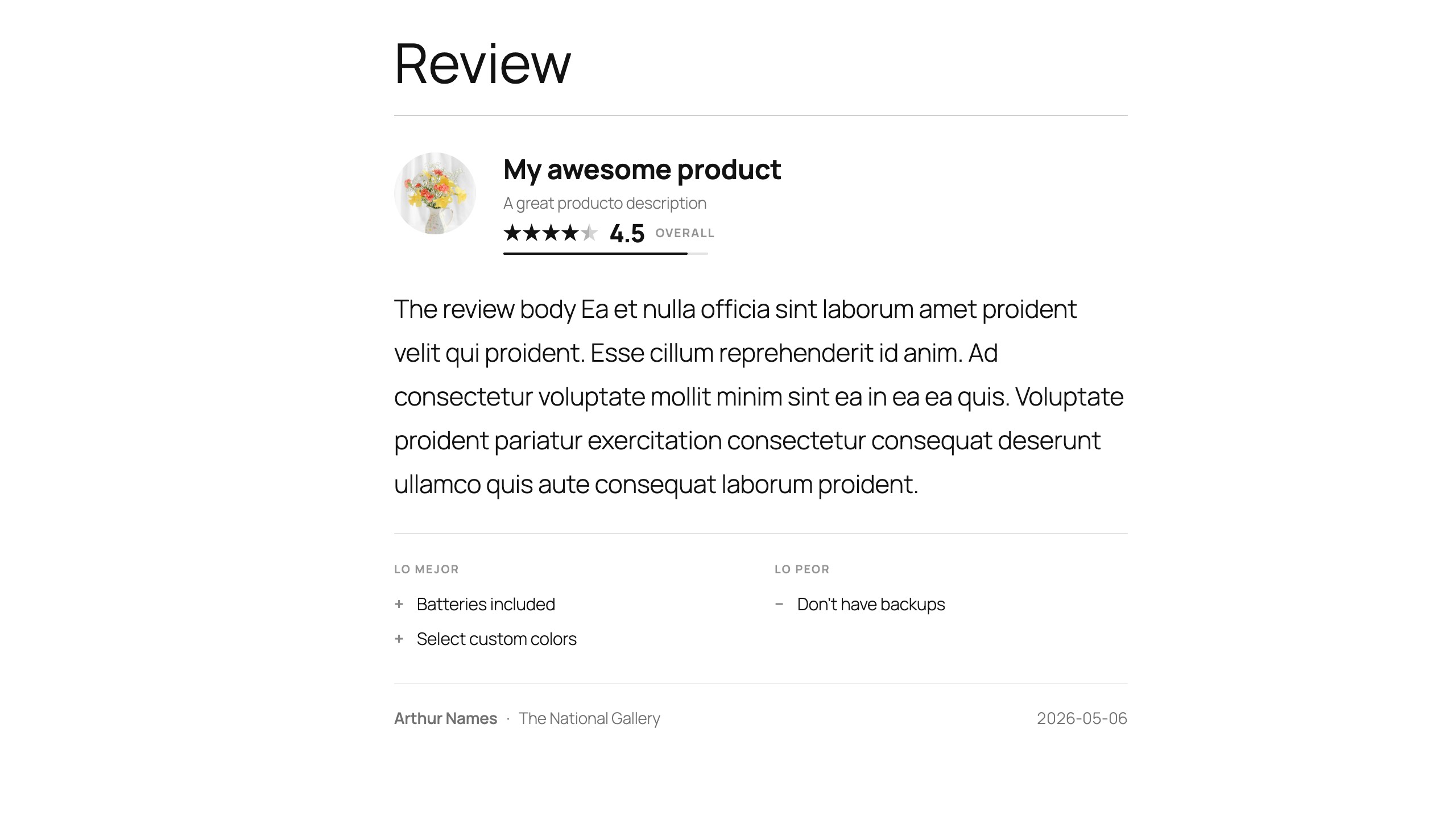 Review Block frontend output — headline, rating, review body and positive/negative notes