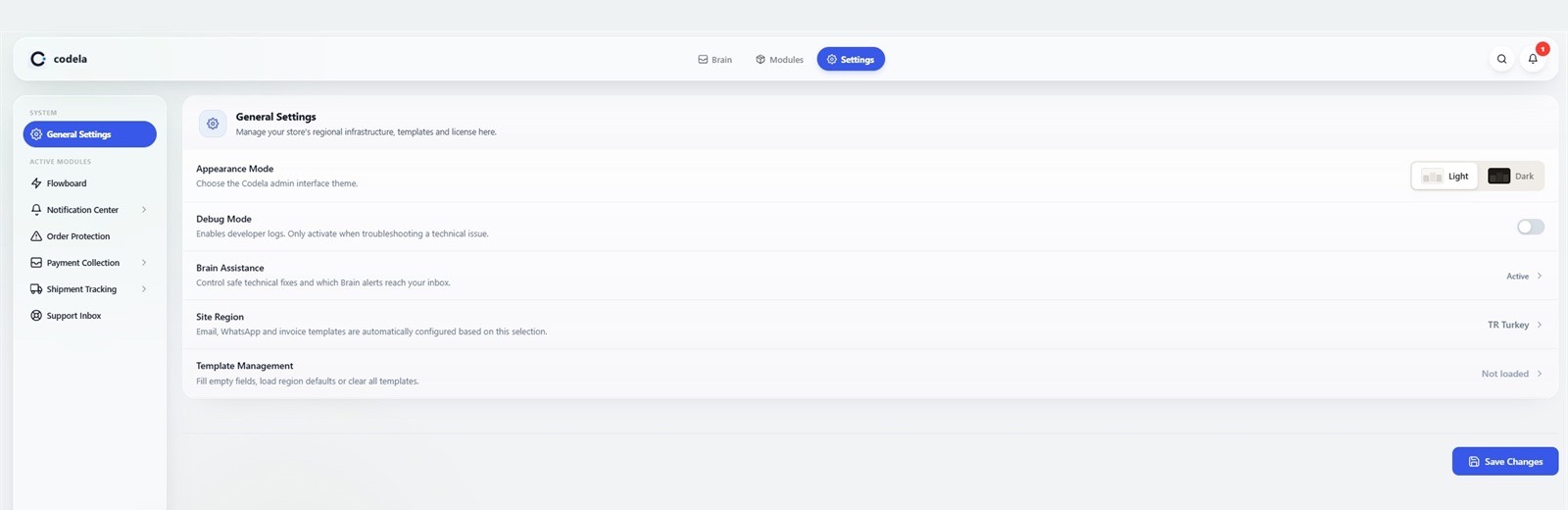 General settings for region, interface, and Brain preferences.