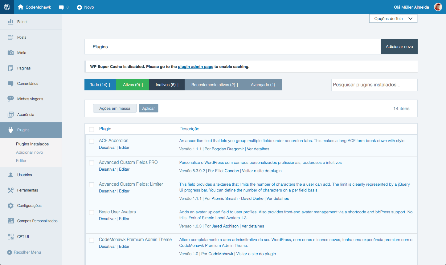 Control Panel's home page with plugin activated