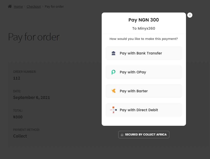 Collect popup payment page