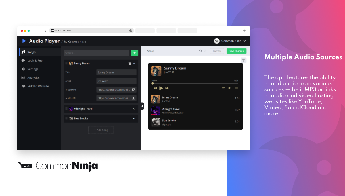 Multiple Audio Sources
