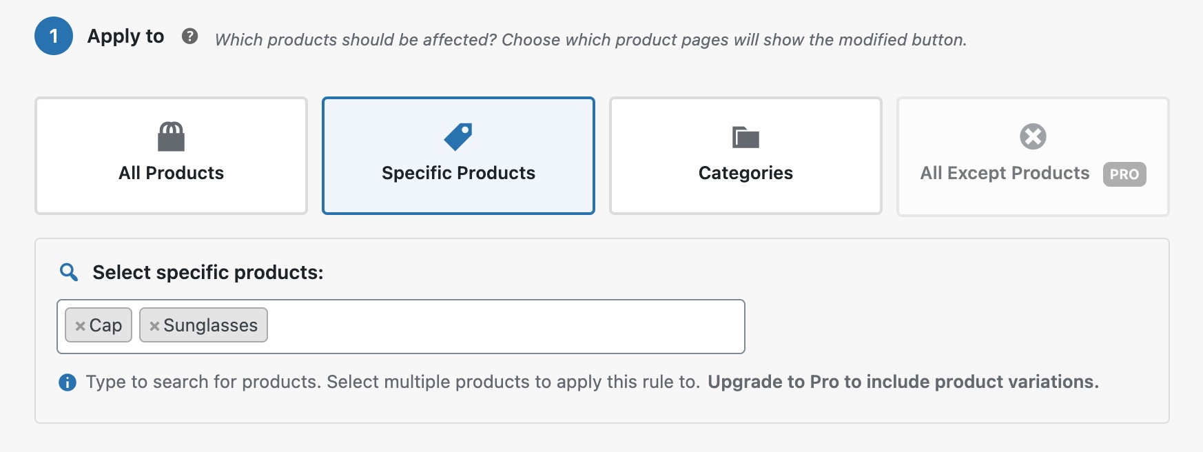 Product Targeting - Select all products, specific products, categories, and all except (Pro)