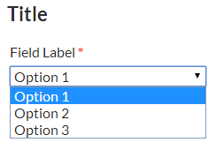 Custom checkout field with Title, Field Label, and Select Menu options. Field is set to be required as indicated by the asterisk.