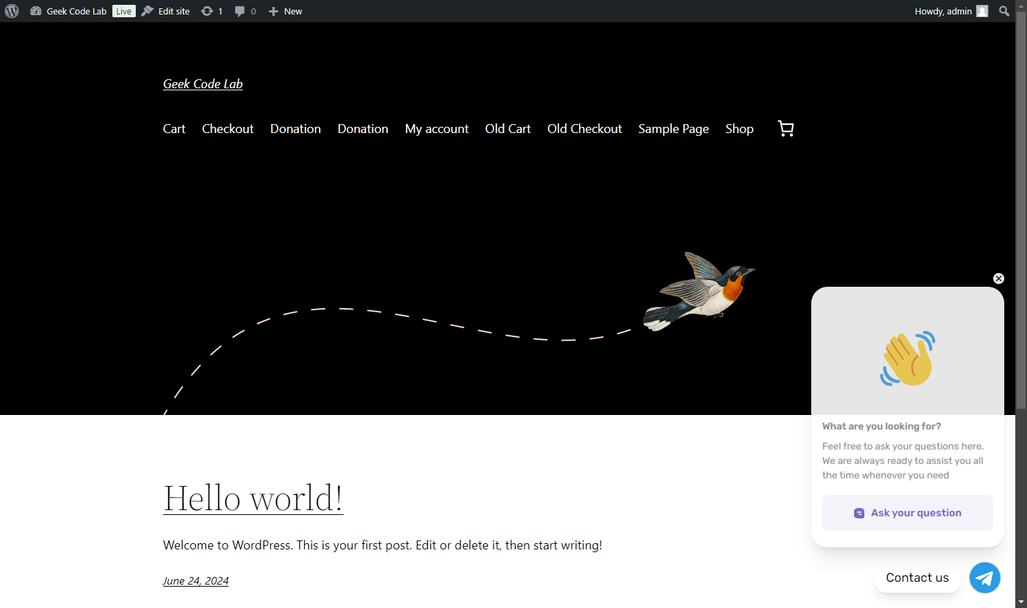 Chat Widget Preview