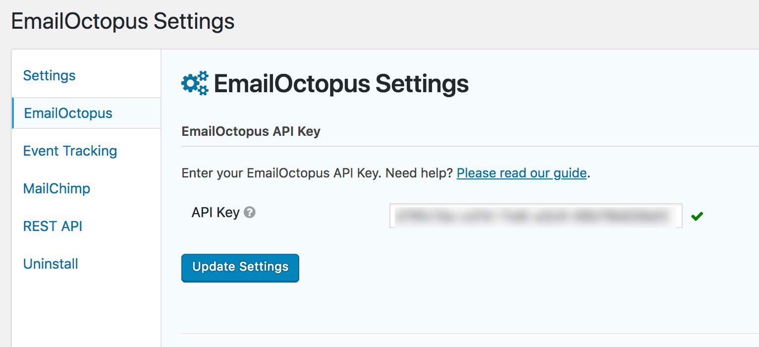 API Key Settings