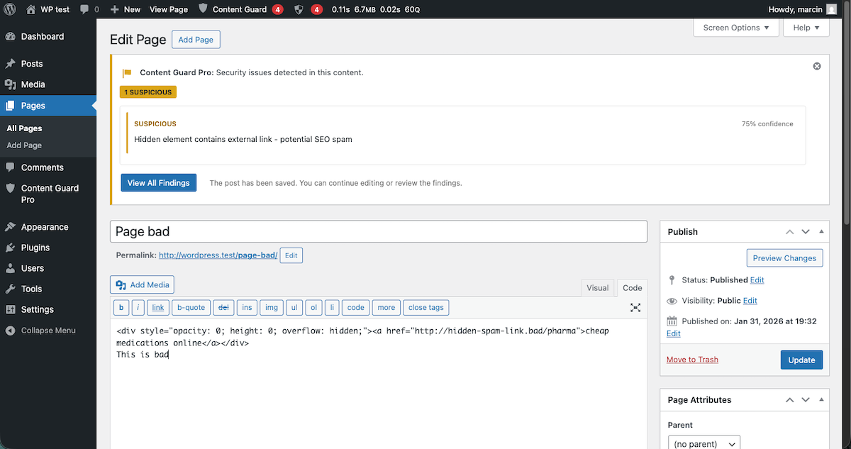 **Detection Patterns & Allowlist Management** — Configure detection rules and allowlist trusted domains to prevent false positives.