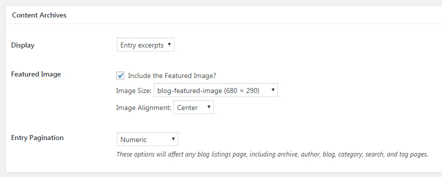 StudioPress Theme options page showing Content Archives section set to display entry excerpts.