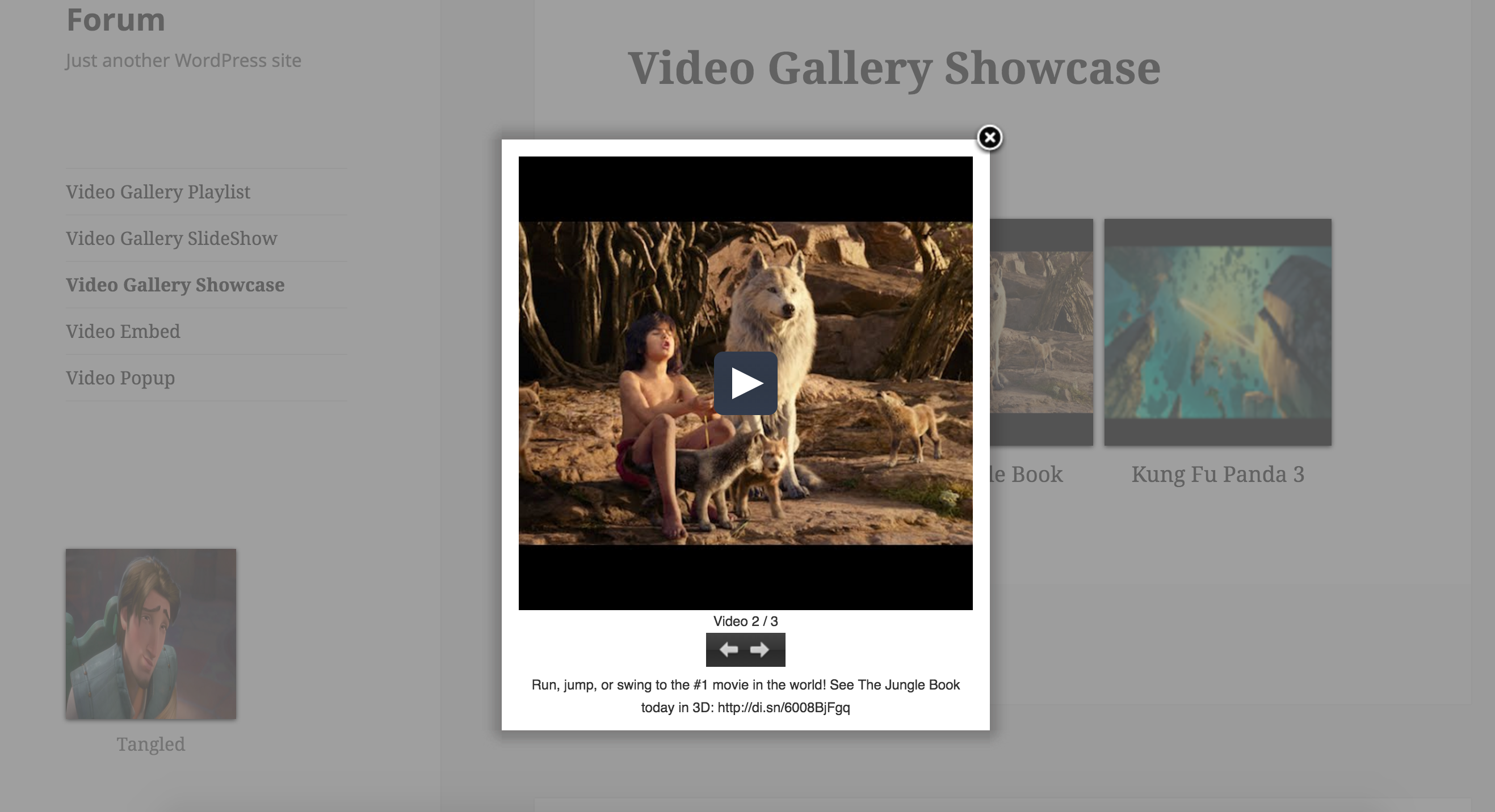 Video Gallery as Showcase in Page and Slideshow in Sidebar Widget
