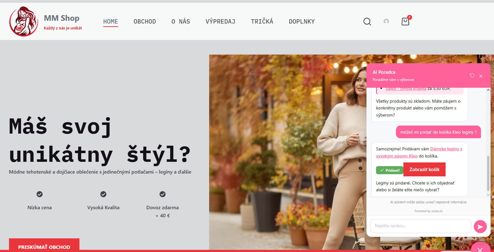 Admin settings — API key and chatbot customization