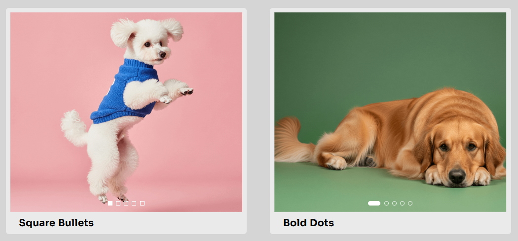 Slider Frontend – Dott Style