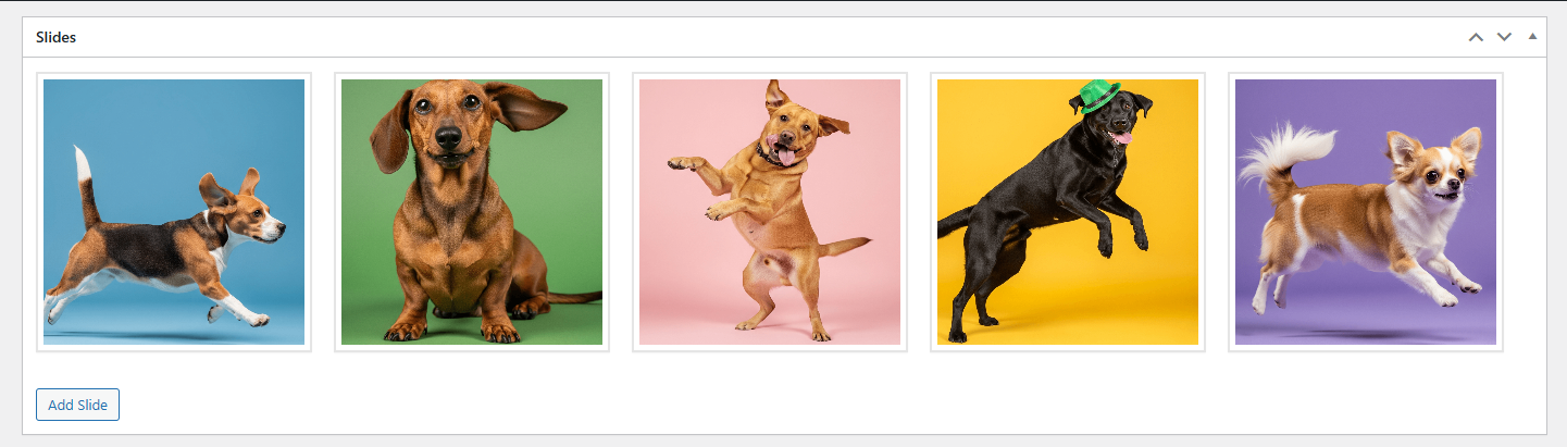 Slider Settings – Preview