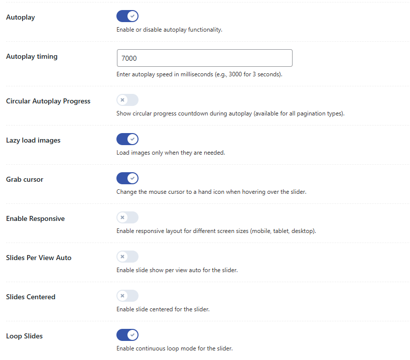 Slider Settings – Autoplay Settings