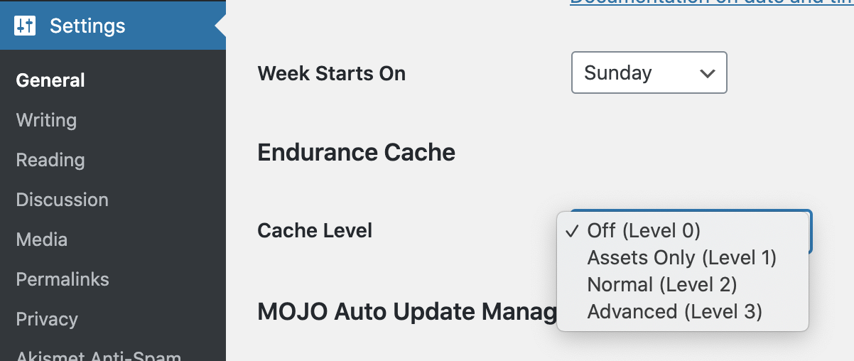 Recommended setting for Endurance Cache / Endurance Page Cache to avoid issues