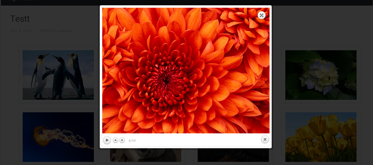 Clicking on an image launches the lightbox. Here it's shown with prettyPhoto (Screenshot-6)