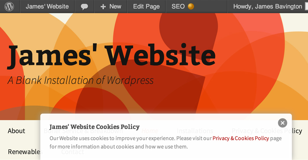 The default Cookie Law banner displaying on the new 2013 theme.