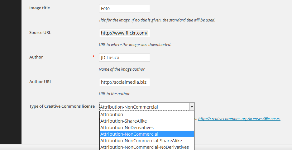 The custom fields on the media page where you can fill in the licensing information.