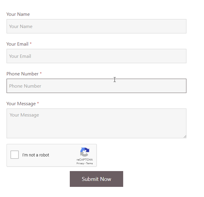 Standard Contact Form.