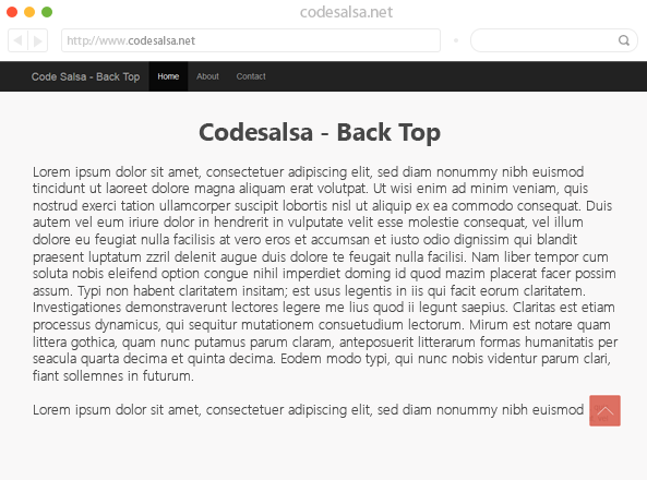 CS-BackTop default wordpress Front-end view