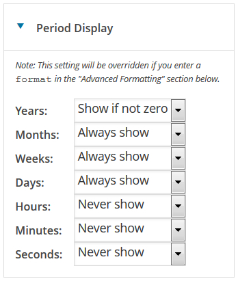 The `Period Display` section where you can indicate which time periods you want shown.
