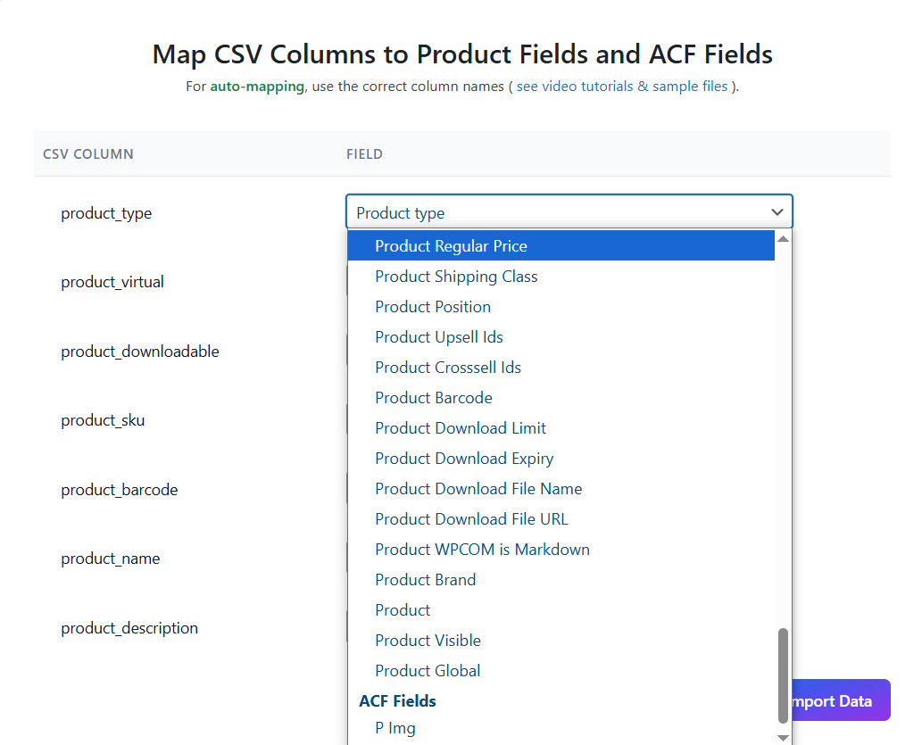 Map the CSV Fields to standard and ACF fields.
