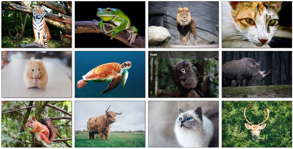 Grid Gallery