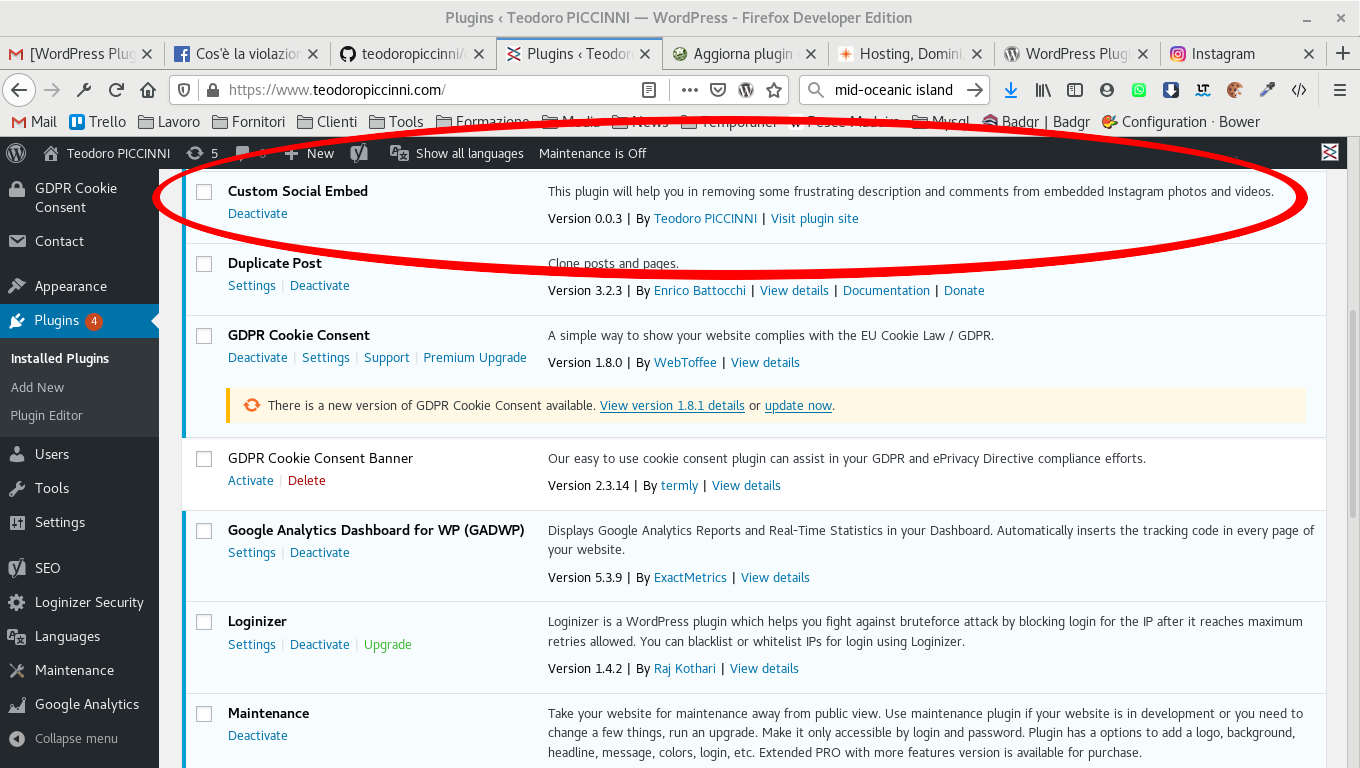 View of backend Plugin panel: Custom Social Embed